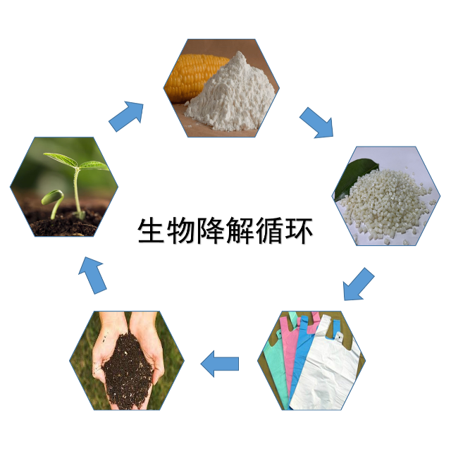 PG电子官网化学浅析常见的5大生物降解塑料 